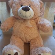 Fredrick Bear