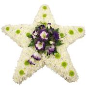 5 Point Star