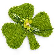 Shamrock