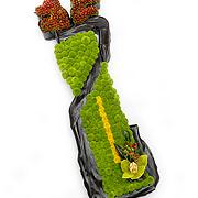 Golf Bag