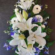 Blue &amp; White Spray