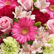 Florist Choice Handtied Bouquet