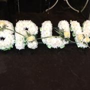 BRUV LETTERS