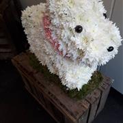 3D DOG
