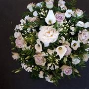 Meadow Posy