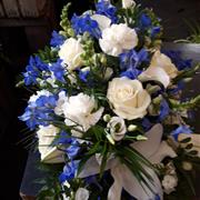 Blue and White Spray