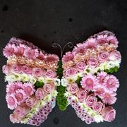 Butterfly Pink