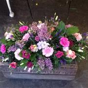 Lilac &amp; Pink Double ended spray