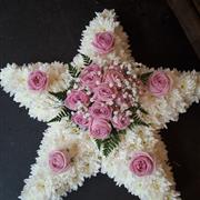 Pink Rose Star