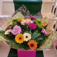Just Gerbera