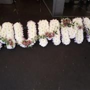 MUMMY