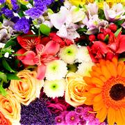 Florist's Choice Basket Arrangement Peak Time