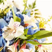 Florist's Choice Vase Arrangement Peak Time