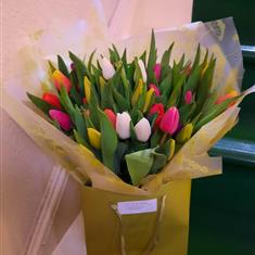 A rainbow of Tulips
