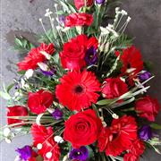 Red &amp; Purple spray