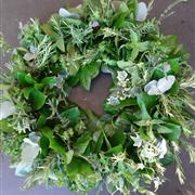 Circle of herbs