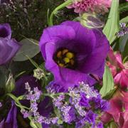 Florist choice casket spray