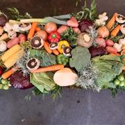 Vegetable Blanket