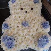 Teddy Blue &amp; White
