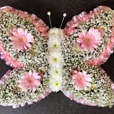 Tiny Butterfly