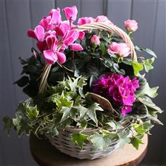 Seasonal planter