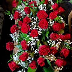  50 Red Rose stemmed spray