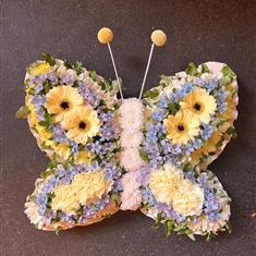 Butterfly Mini