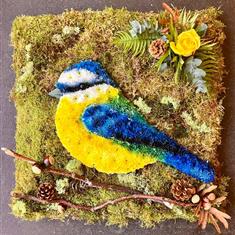 Blue Tit 