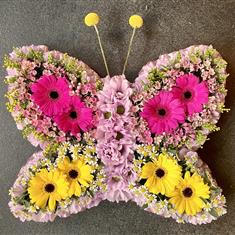 Pretty mini butterfly