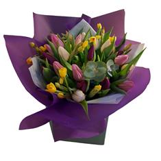 Tulips &amp; Narcicus