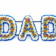 Dad with inlays