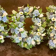 SON Hydrangeas