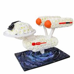 Star ship enterprise