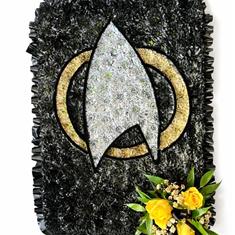 Star ship enterprise logo